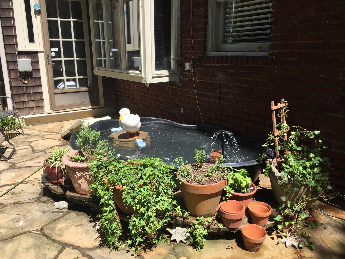 Inman Park Bed And Breakfast Atlanta Ngoại thất bức ảnh